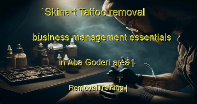 Skinart Tattoo removal business management essentials in Aba Goderi area | RemovalTraining | RemovalClasses | SkinartTraining-Nigeria